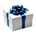 Mystery Gift